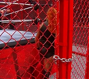 beckyppv20191006_Still594.jpg